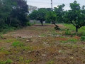 dijual-tanah-shm-luas-3000m2-lokasi-strategis-di-jenu-tuban-small-1