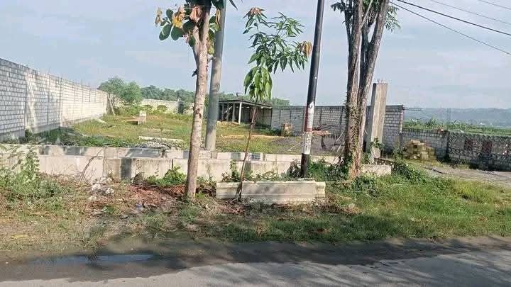 dijual-tanah-luas-880-m2-lokasi-strategis-di-mbutoh-kebonagung-rengel-tuban-big-0