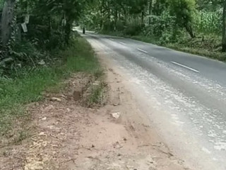 Dijual Murah Tanah + Gudang Nol Jalan Raya Akses Truk Tronton Merakurak, Tuban