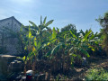dijual-lahan-kosong-8x24-m-lokasi-strategis-di-bojonegoro-small-1