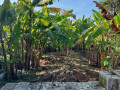 dijual-lahan-kosong-8x24-m-lokasi-strategis-di-bojonegoro-small-0