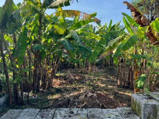 Dijual Lahan Kosong 8x24 m Lokasi Strategis di Bojonegoro