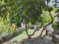 dijual-lahan-kosong-semambung-kanor-nol-jalan-raya-small-0