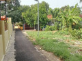 dijual-tanah-pekarangan-sendangharjo-tuban-kota-small-1