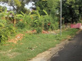 dijual-tanah-pekarangan-sendangharjo-tuban-kota-small-0