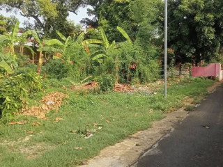 Dijual tanah pekarangan Sendangharjo Tuban Kota
