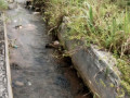 dijual-sawah-dekat-kota-tuban-small-1