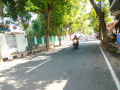 dijual-lahan-rumah-lawas-kokoh-luas-banget-timur-samudra-tuban-small-2