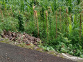 dijual-tanah-strategis-tuban-jawa-timur-small-2