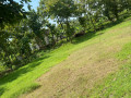 dijual-tanah-pekarangan-shm-prunggahan-tuban-small-1