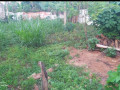 dijual-tanah-lokasi-emas-jl-manunggal-selatan-tuban-small-0