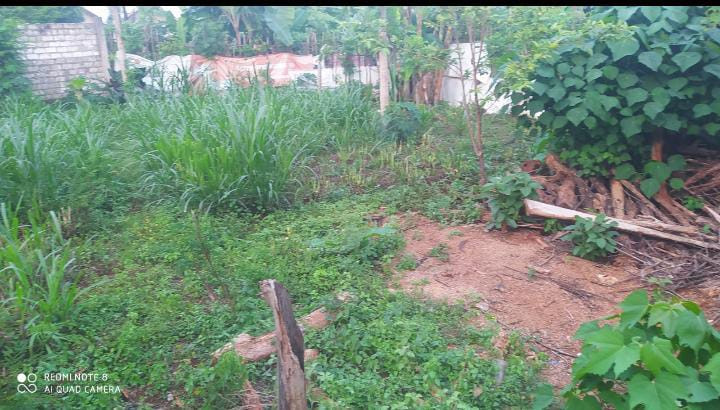 dijual-tanah-lokasi-emas-jl-manunggal-selatan-tuban-big-0