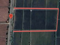 jual-sawah-strategis-2980-m2-di-tuban-small-2