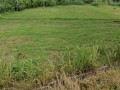 dijual-tanah-strategis-pinggir-jalan-raya-kasiman-bojonegoro-small-0