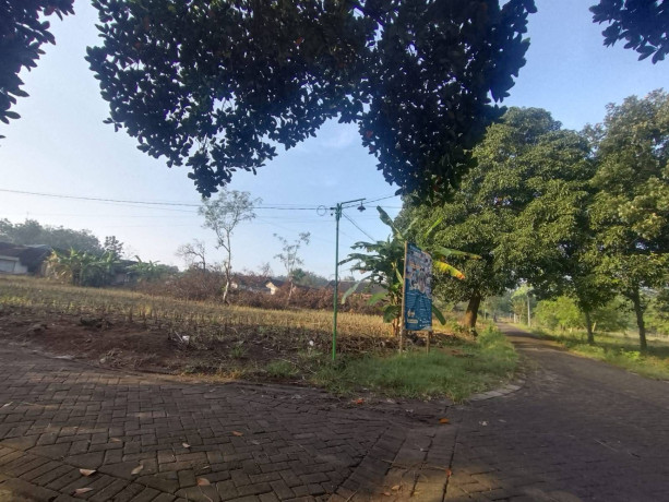 dijual-tanah-kapling-siap-bangun-lokasi-strategis-di-dander-big-1