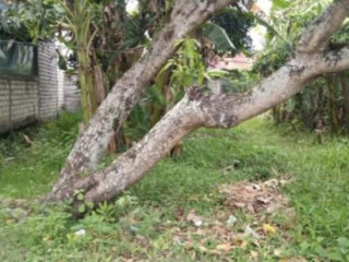Dijual Tanah Perumahan SHM Redreyeng, Ngumpak Dalem