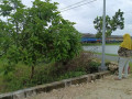 dijual-tanah-strategis-pinggir-jalan-raya-wangun-palang-tuban-small-2