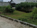 dijual-tanah-strategis-pinggir-jalan-raya-wangun-palang-tuban-small-0