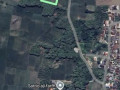 dijual-sawah-murah-plumpang-tuban-small-1