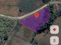 dijual-sawah-produktif-di-kedungadem-bojonegoro-small-0