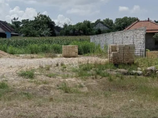 Dijual Tanah Strategis 0 Jalan Raya Penambangan, Semanding, Tuban