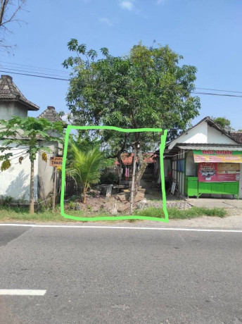 dijual-tanah-strategis-di-mentoro-soko-tuban-big-1