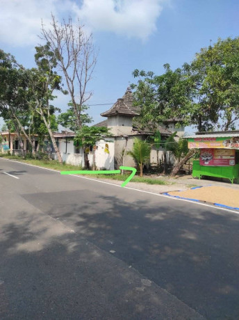 dijual-tanah-strategis-di-mentoro-soko-tuban-big-0
