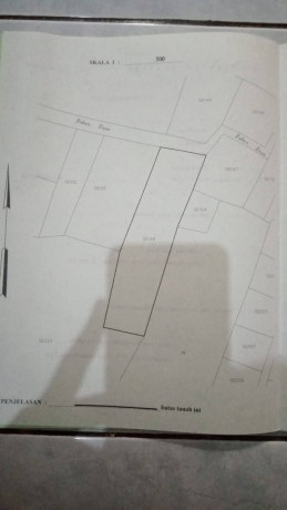 dijual-tanah-bojonegoro-shm-big-3
