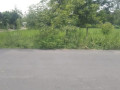 dijual-tanah-pertanian-strategis-desa-tanjungharjo-bojonegoro-small-2