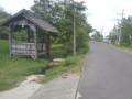dijual-tanah-pertanian-strategis-desa-tanjungharjo-bojonegoro-small-1
