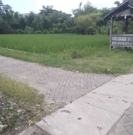 dijual-tanah-pertanian-strategis-desa-tanjungharjo-bojonegoro-big-0