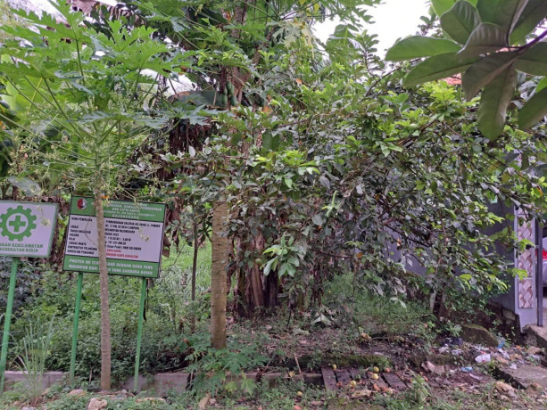 dijual-tanah-milik-pribadi-tengah-kota-bojonegoro-big-1