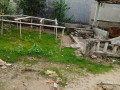 dijual-tanah-lokasi-sendangrejo-parengan-tuban-small-0