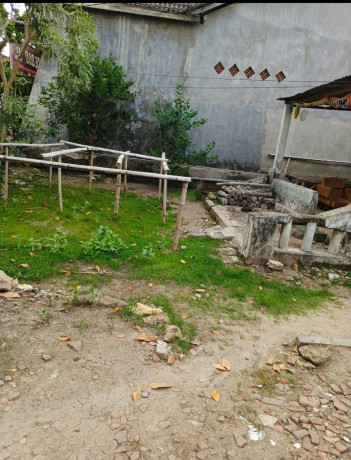 dijual-tanah-lokasi-sendangrejo-parengan-tuban-big-0