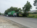 dijual-tanah-nol-jalan-propinsi-tuban-babat-surabaya-small-1