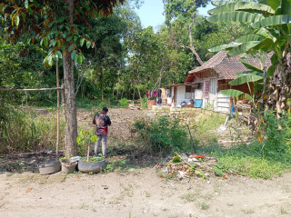 Dijual Tanah di Bojonegoro