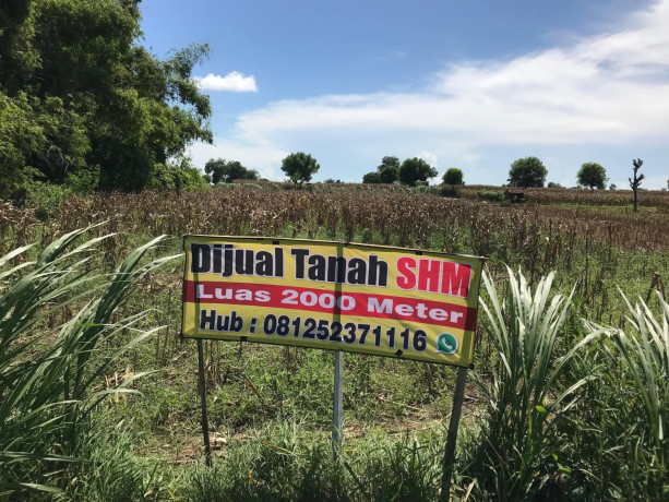 dijual-tanah-milik-pribadi-jenu-kab-tuban-big-1