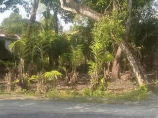 Dijual Tanah Siap Bangun Kapas Bojonegoro