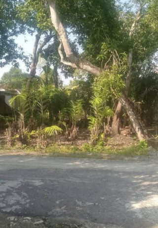 dijual-tanah-siap-bangun-kapas-bojonegoro-big-0