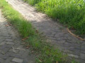 dijual-tanah-murah-lahan-sawah-karangrejo-penambangan-semanding-small-1