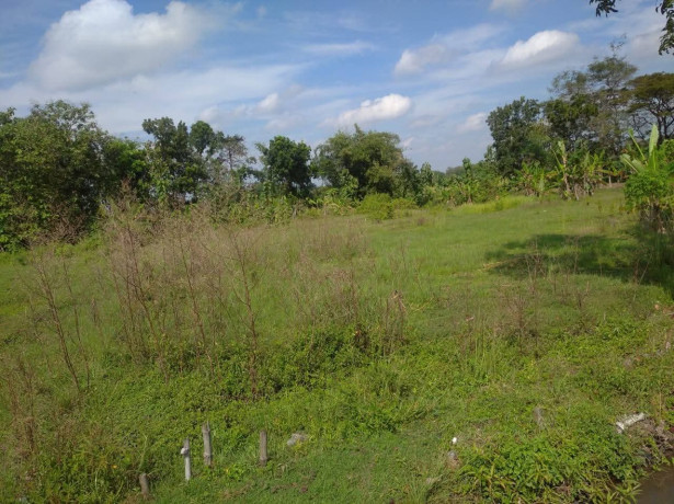 dijual-tanah-sawah-strategis-ngumpak-dalem-dander-bojonegoro-big-0