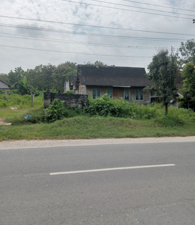 dijual-tanah-trutup-plumpang-bonus-rumah-kayu-big-0