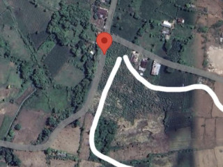 DIJUAL LAHAN STRATEGIS Zona Industri Pabrik Semen Gresik Tuban
