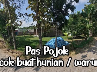 DIJUAL MURAH LAHAN USAHA KAPAS BOJONEGORO