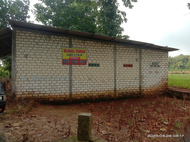 dijual-tanah-luas-di-semanding-tuban-big-1