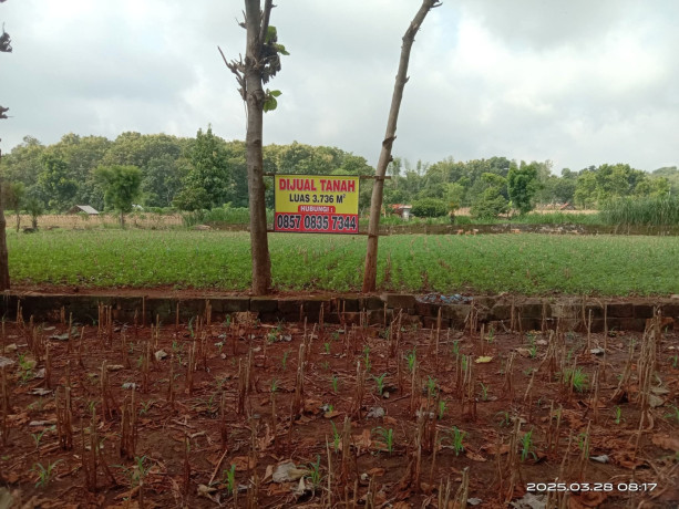 dijual-tanah-luas-di-semanding-tuban-big-0