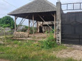 dijual-tanah-murah-sudah-shm-small-0