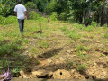 dijual-cepat-tanah-pekarangan-shm-lokasi-strategis-small-1