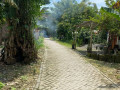 dijual-cepat-tanah-pekarangan-shm-lokasi-strategis-small-2