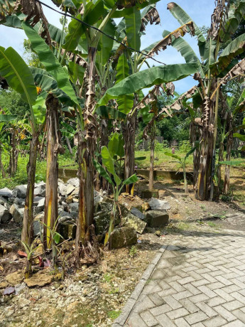 dijual-cepat-tanah-pekarangan-shm-lokasi-strategis-big-0